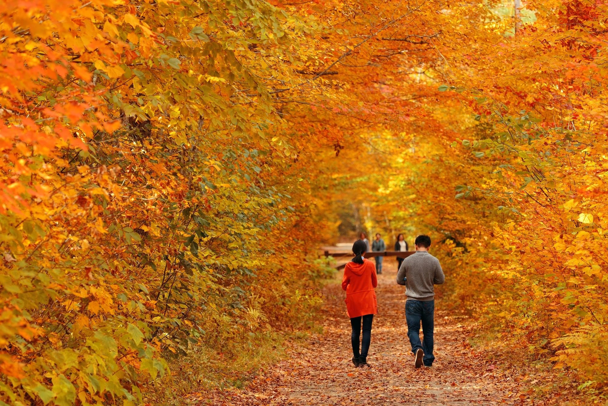Fall Savings