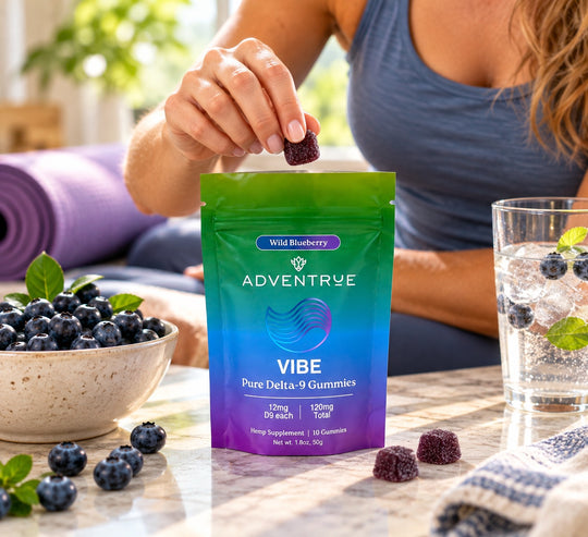Vibe Delta-9 THC 12mg Gummies - Wild Blueberry
