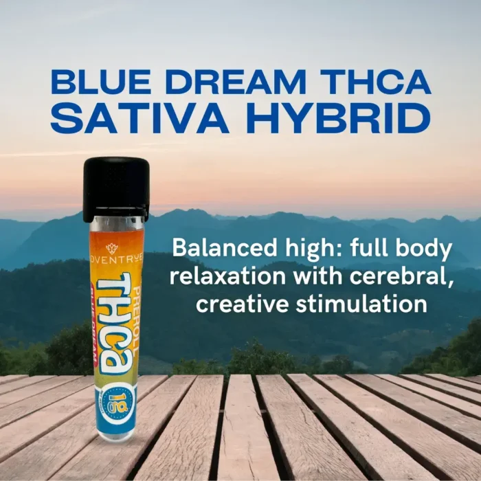 blue dream thca sativa hybrid